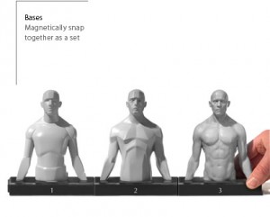 Anatomy Tools Male Torso 3 Piece Magnetic Set
