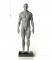 Anatomy Tools Male Proportional Figure 1/6 Scale